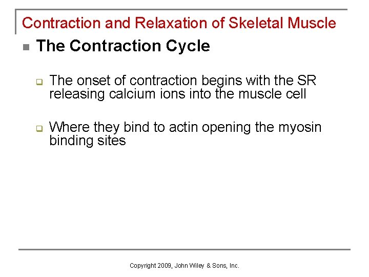 Contraction and Relaxation of Skeletal Muscle n The Contraction Cycle q q The onset
