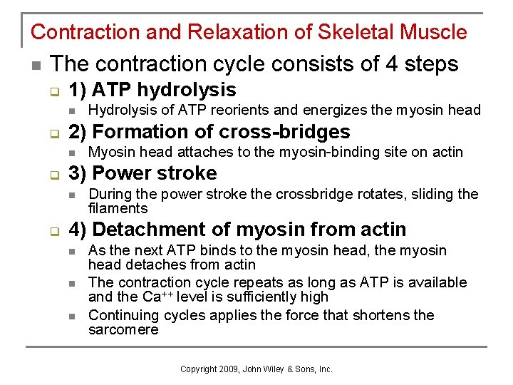 Contraction and Relaxation of Skeletal Muscle n The contraction cycle consists of 4 steps