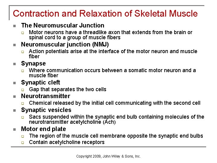 Contraction and Relaxation of Skeletal Muscle n The Neuromuscular Junction q n Neuromuscular junction