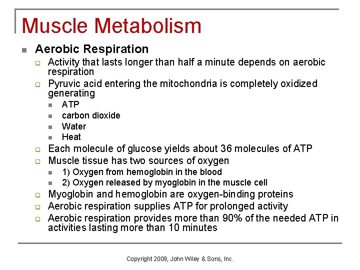 Muscle Metabolism n Aerobic Respiration q q Activity that lasts longer than half a
