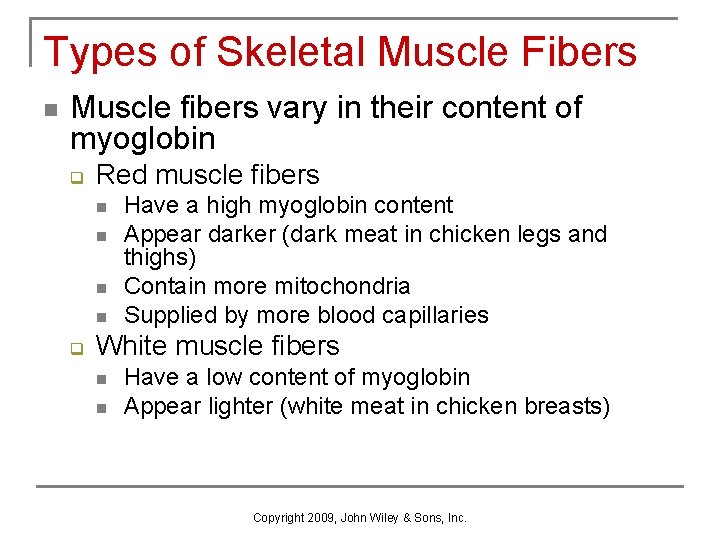 Types of Skeletal Muscle Fibers n Muscle fibers vary in their content of myoglobin