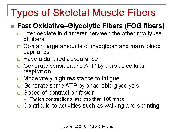 Types of Skeletal Muscle Fibers n Fast Oxidative–Glycolytic Fibers (FOG fibers) q q q