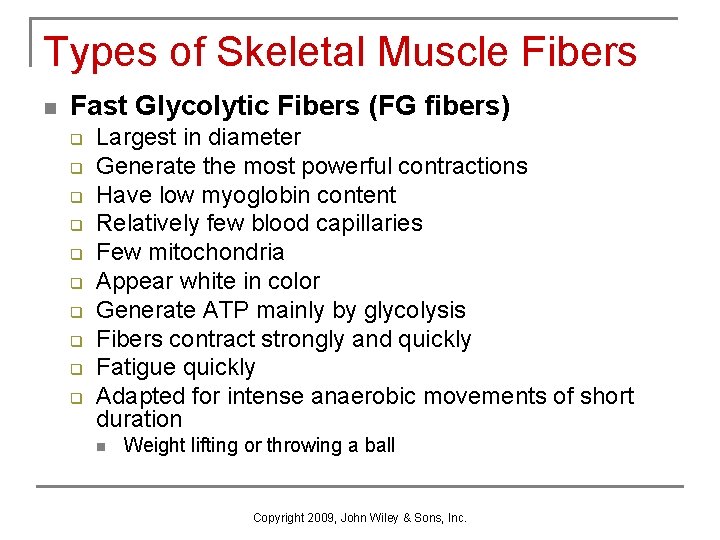 Types of Skeletal Muscle Fibers n Fast Glycolytic Fibers (FG fibers) q q q