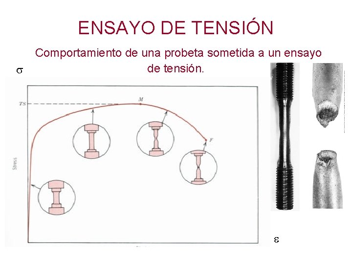 ENSAYO DE TENSIÓN Comportamiento de una probeta sometida a un ensayo de tensión. 