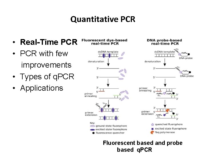 Quantitative PCR • Real-Time PCR • PCR with few improvements • Types of q.