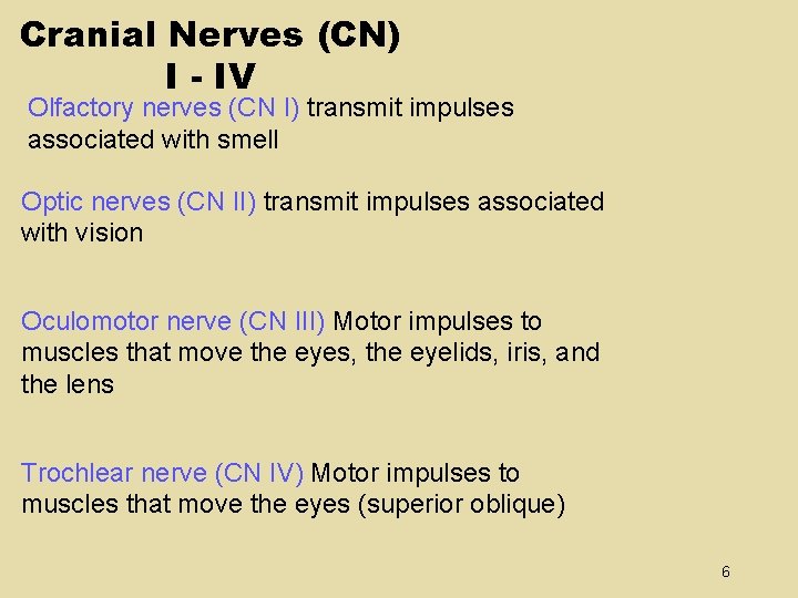 Cranial Nerves (CN) I - IV Olfactory nerves (CN I) transmit impulses associated with Cranial Nerves (CN) I - IV Olfactory nerves (CN I) transmit impulses associated with