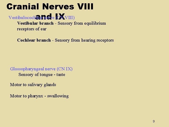 Cranial Nerves VIII Vestibulocochlear nerve IX (CN VIII) and Vestibular branch - Sensory from Cranial Nerves VIII Vestibulocochlear nerve IX (CN VIII) and Vestibular branch - Sensory from