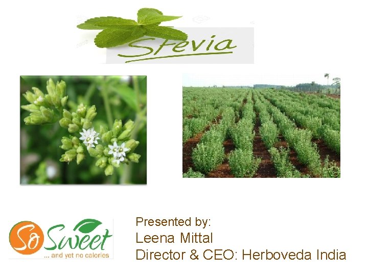 Presented by: Leena Mittal Director & CEO: Herboveda India 