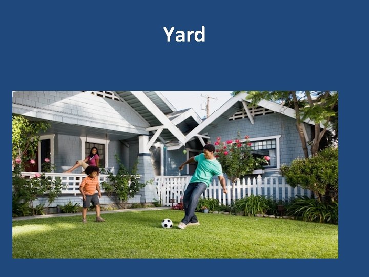 Yard 