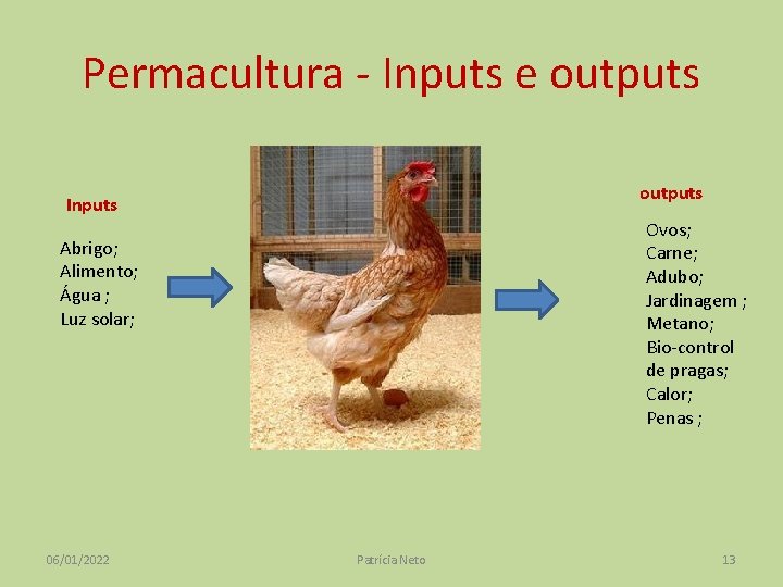 Permacultura - Inputs e outputs Inputs Ovos; Carne; Adubo; Jardinagem ; Metano; Bio-control de