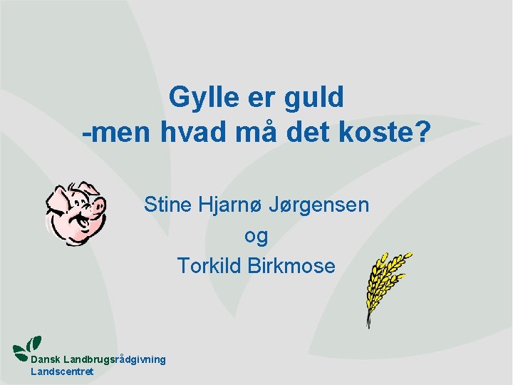 Gylle er guld -men hvad må det koste? Stine Hjarnø Jørgensen og Torkild Birkmose
