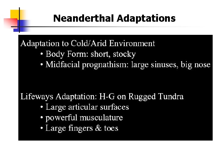 Neanderthal Adaptations 