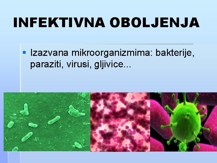 Papilloma virus definitie - Feluri de pastile de viermi umani