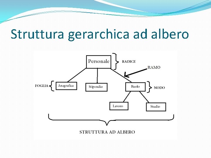 Struttura gerarchica ad albero 