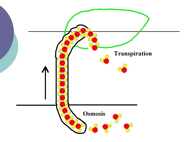 NOTES Chapter 15 Water and Aqueous Systems Chapter