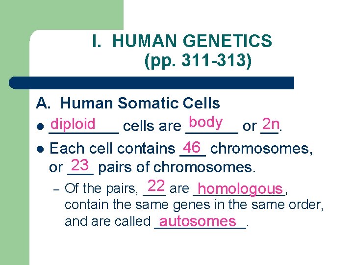 I. HUMAN GENETICS (pp. 311 -313) A. Human Somatic Cells body or __. diploid