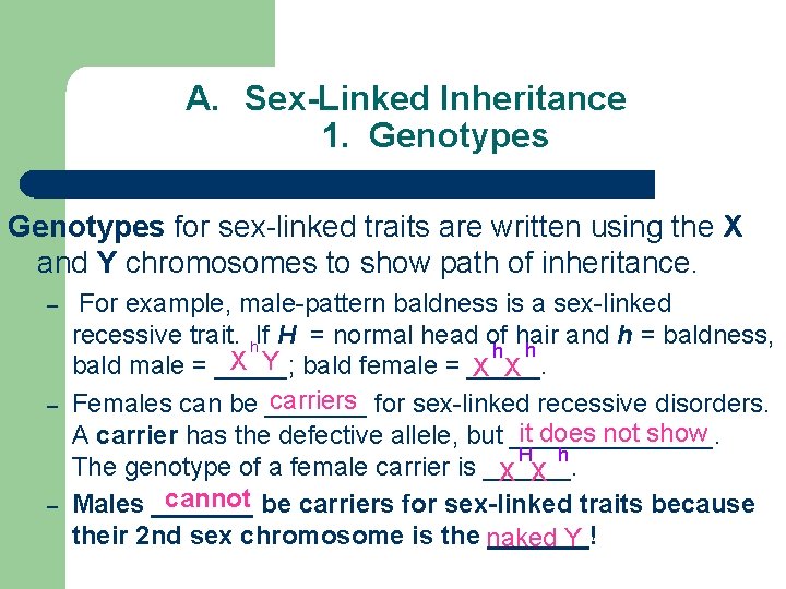 A. Sex-Linked Inheritance 1. Genotypes for sex-linked traits are written using the X and