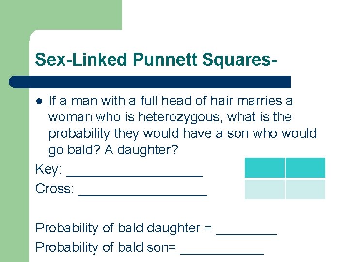Sex-Linked Punnett Squares. If a man with a full head of hair marries a