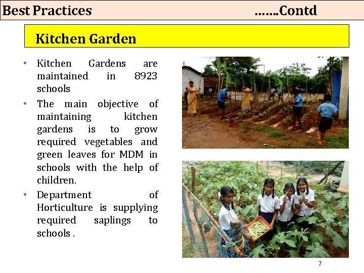 Best Practices ……. Contd Kitchen Garden • Kitchen Gardens are maintained in 8923 schools