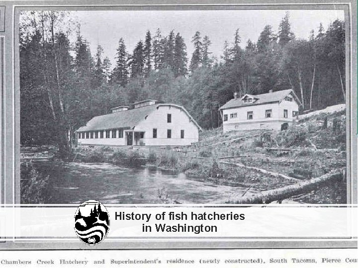 History of fish hatcheries in Washington 