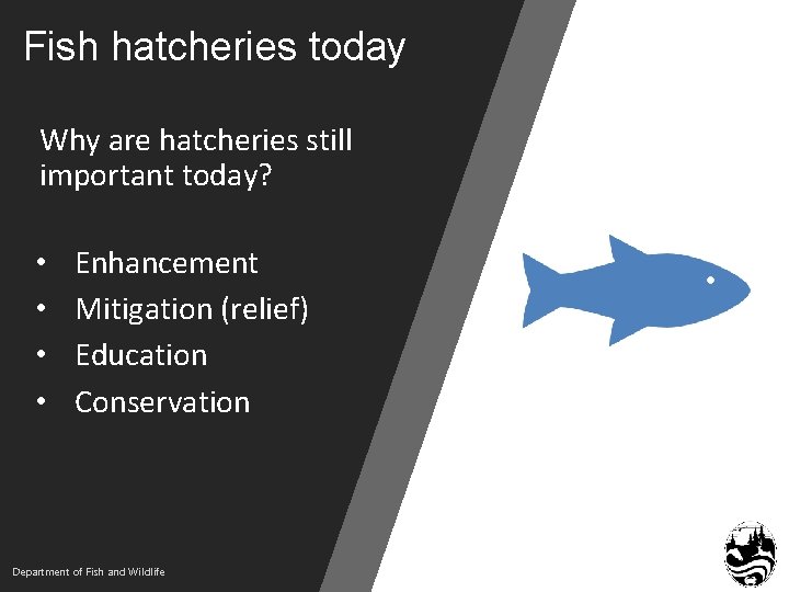 Fish hatcheries today Why are hatcheries still important today? • • Enhancement Mitigation (relief)