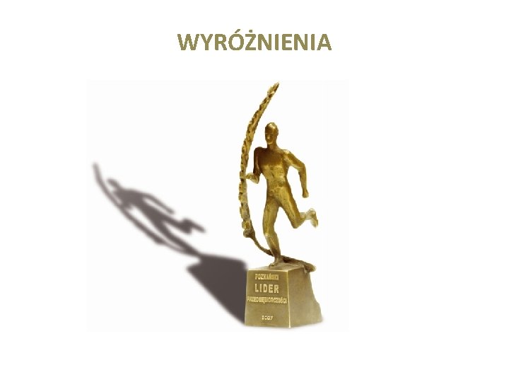 WYRÓŻNIENIA 