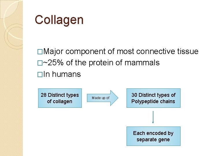 Collagen �Major component of most connective tissue �~25% of the protein of mammals �In