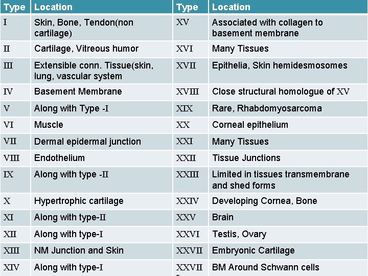 Type I Type Location Types of collagen XV Skin, Bone, Tendon(non Associated with collagen