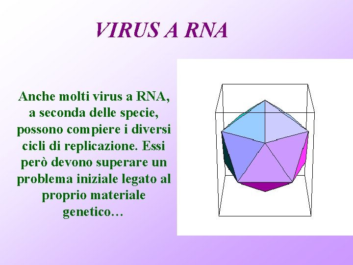VIRUS A RNA Anche molti virus a RNA, a seconda delle specie, possono compiere