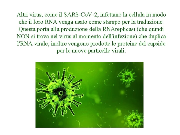 Altri virus, come il SARS-Co. V-2, infettano la cellula in modo che il loro