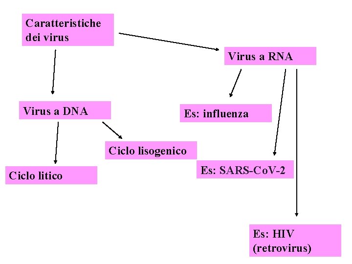 Caratteristiche dei virus Virus a RNA Virus a DNA Es: influenza Ciclo lisogenico Ciclo