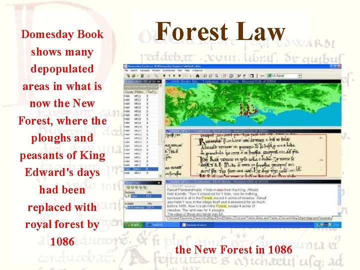 Domesday Book shows many depopulated areas in what is now the New Forest, where