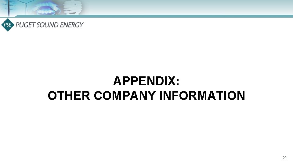 APPENDIX: OTHER COMPANY INFORMATION 28 APPENDIX: OTHER COMPANY INFORMATION 28