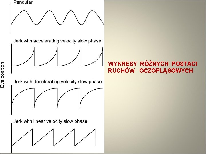 WYKRESY RÓŻNYCH POSTACI RUCHÓW OCZOPLĄSOWYCH 