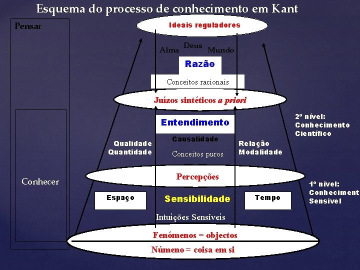 Esquema do processo de conhecimento em Kant Pensar Ideais reguladores Alma Deus Mundo Razão