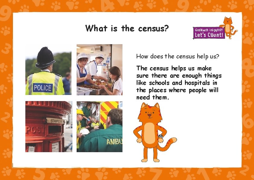 What is the census? How does the census help us? The census helps us