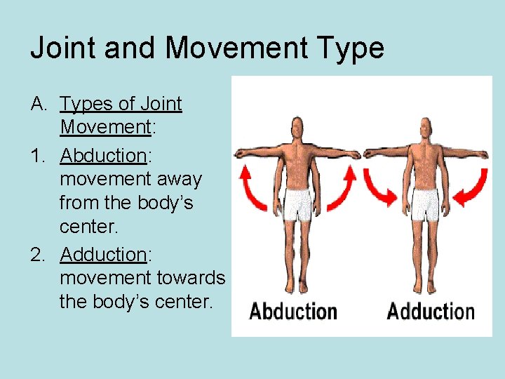 Joint and Movement Type A. Types of Joint Movement: 1. Abduction: movement away from