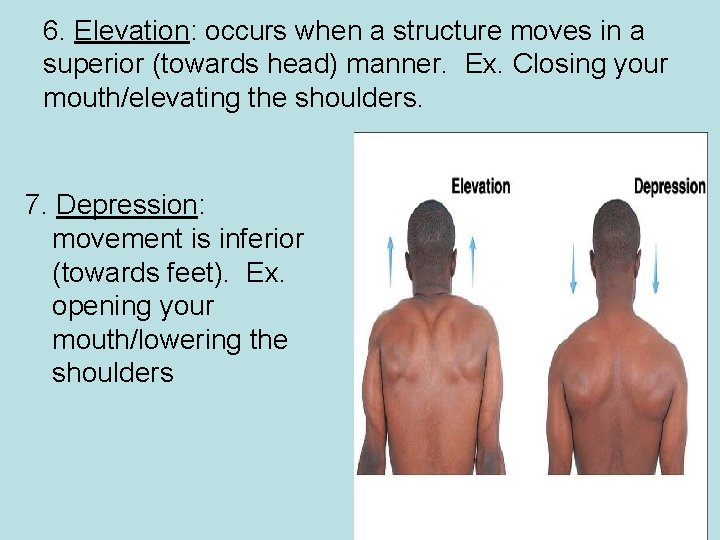 6. Elevation: occurs when a structure moves in a superior (towards head) manner. Ex.