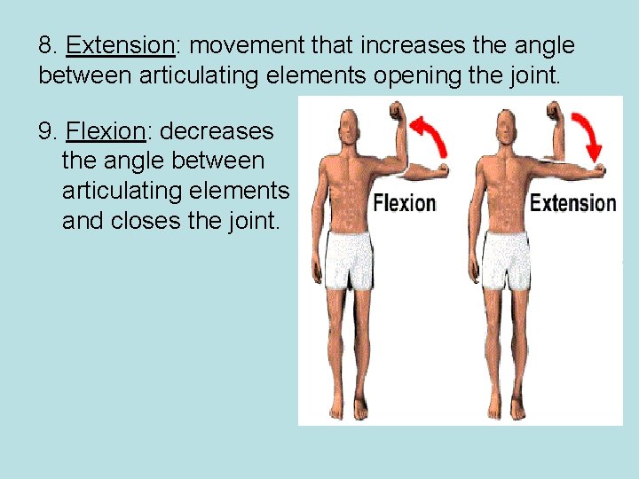 8. Extension: movement that increases the angle between articulating elements opening the joint. 9.