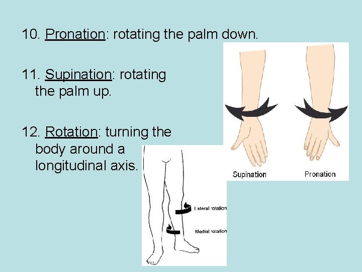 10. Pronation: rotating the palm down. 11. Supination: rotating the palm up. 12. Rotation: