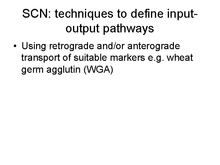 SCN: techniques to define inputoutput pathways • Using retrograde and/or anterograde transport of suitable