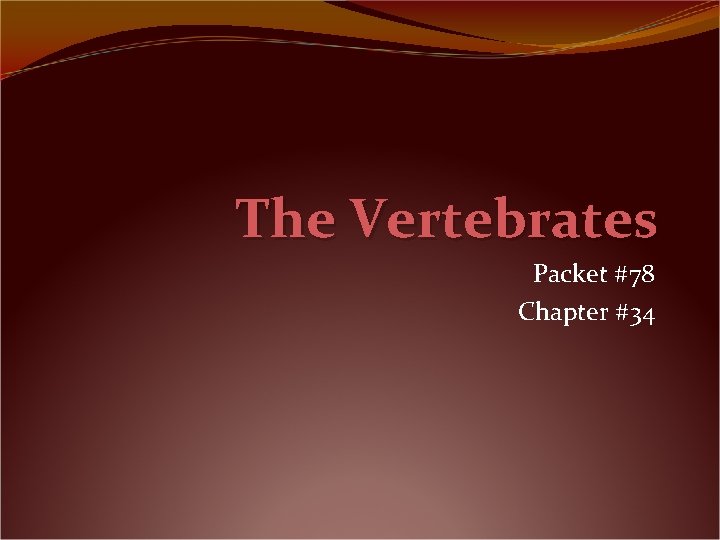 The Vertebrates Packet 78 Chapter 34 Introduction All