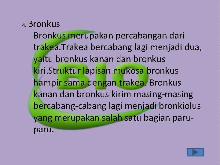 4. Bronkus merupakan percabangan dari trakea. Trakea bercabang lagi menjadi dua, yaitu bronkus kanan 4. Bronkus merupakan percabangan dari trakea. Trakea bercabang lagi menjadi dua, yaitu bronkus kanan