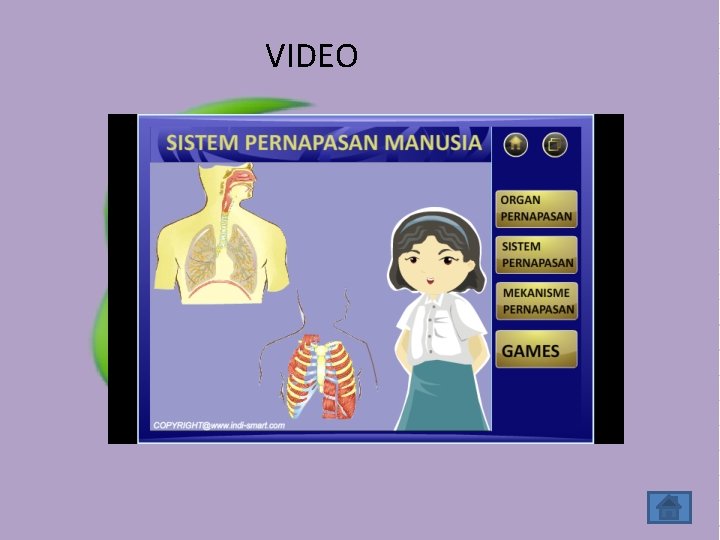 VIDEO VIDEO