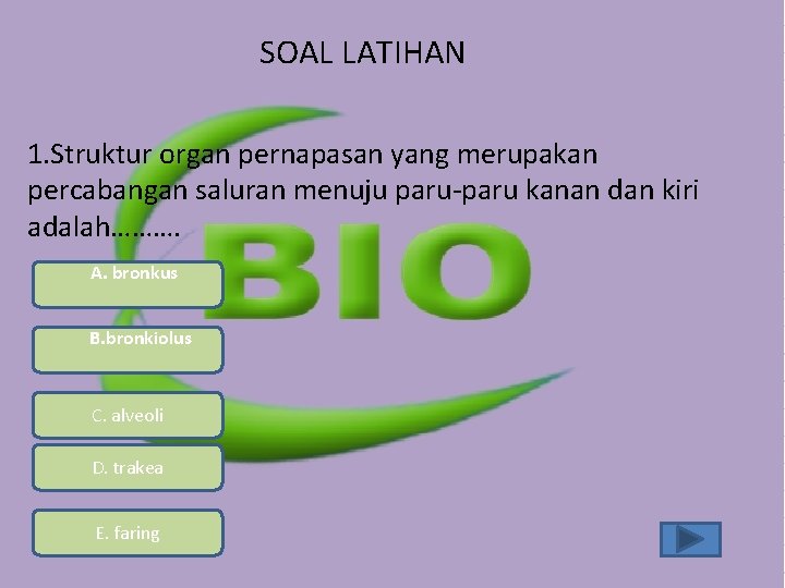SOAL LATIHAN 1. Struktur organ pernapasan yang merupakan percabangan saluran menuju paru-paru kanan dan SOAL LATIHAN 1. Struktur organ pernapasan yang merupakan percabangan saluran menuju paru-paru kanan dan