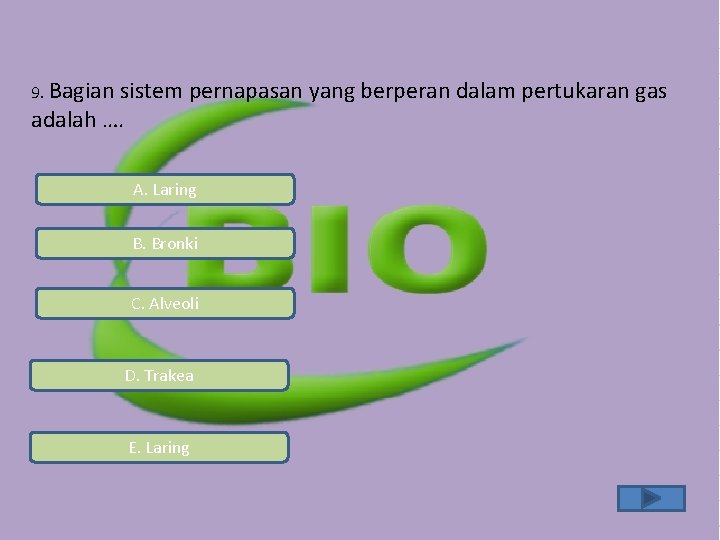 9. Bagian sistem pernapasan yang berperan dalam pertukaran gas adalah …. A. Laring B. 9. Bagian sistem pernapasan yang berperan dalam pertukaran gas adalah …. A. Laring B.
