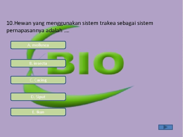 10. Hewan yang menggunakan sistem trakea sebagai sistem pernapasannya adalah …. A. mollusca B. 10. Hewan yang menggunakan sistem trakea sebagai sistem pernapasannya adalah …. A. mollusca B.