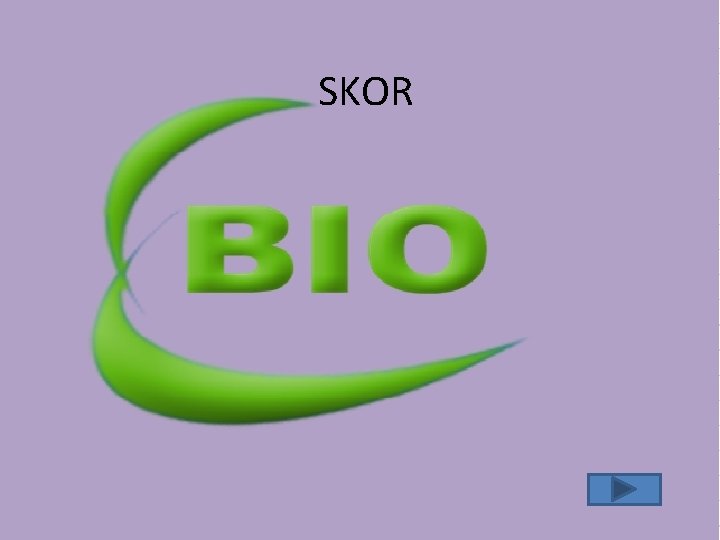 SKOR SKOR