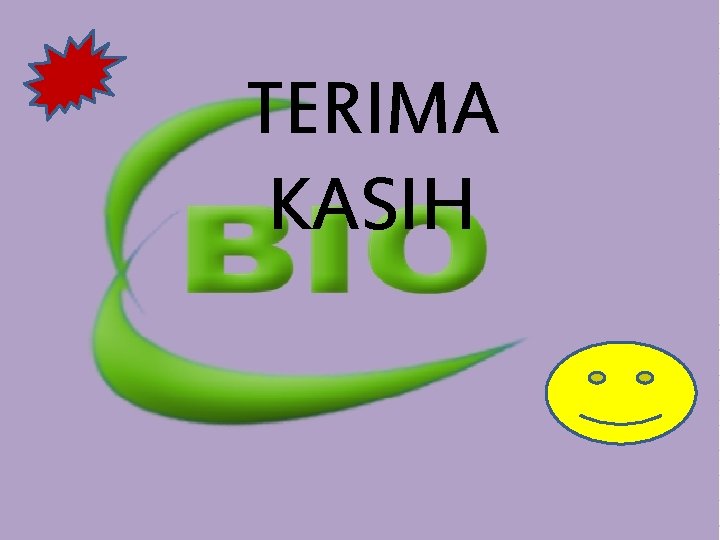 TERIMA KASIH TERIMA KASIH