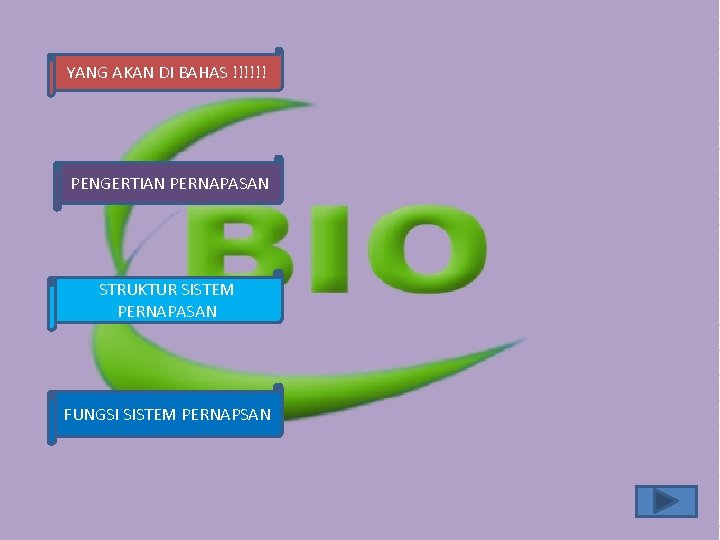 YANG AKAN DI BAHAS !!!!!! PENGERTIAN PERNAPASAN STRUKTUR SISTEM PERNAPASAN FUNGSI SISTEM PERNAPSAN YANG AKAN DI BAHAS !!!!!! PENGERTIAN PERNAPASAN STRUKTUR SISTEM PERNAPASAN FUNGSI SISTEM PERNAPSAN